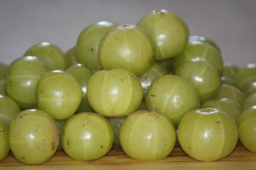 Indian Gooseberry (Amla) Healthy Benefits, Nutrition and Nellikai Syrup Recipe